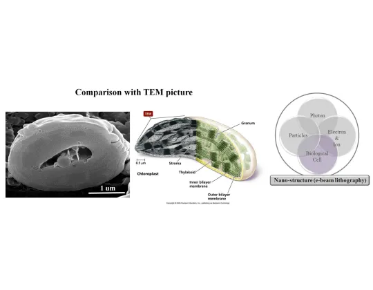 台大電子束實驗室